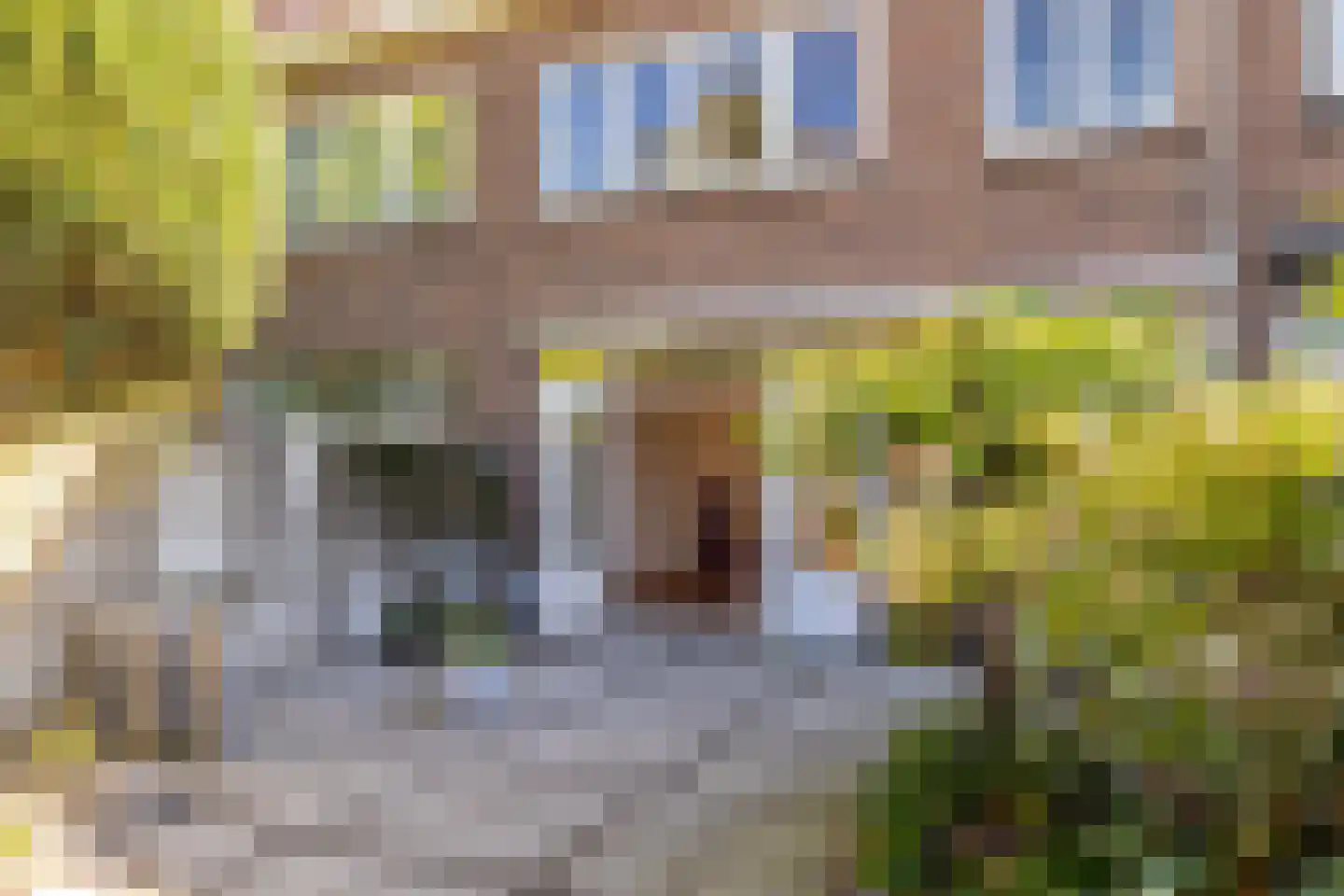 Loopschansstraat 48 Breda thumbnail 5