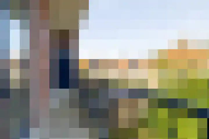 Loopschansstraat 95 A Breda thumbnail 34