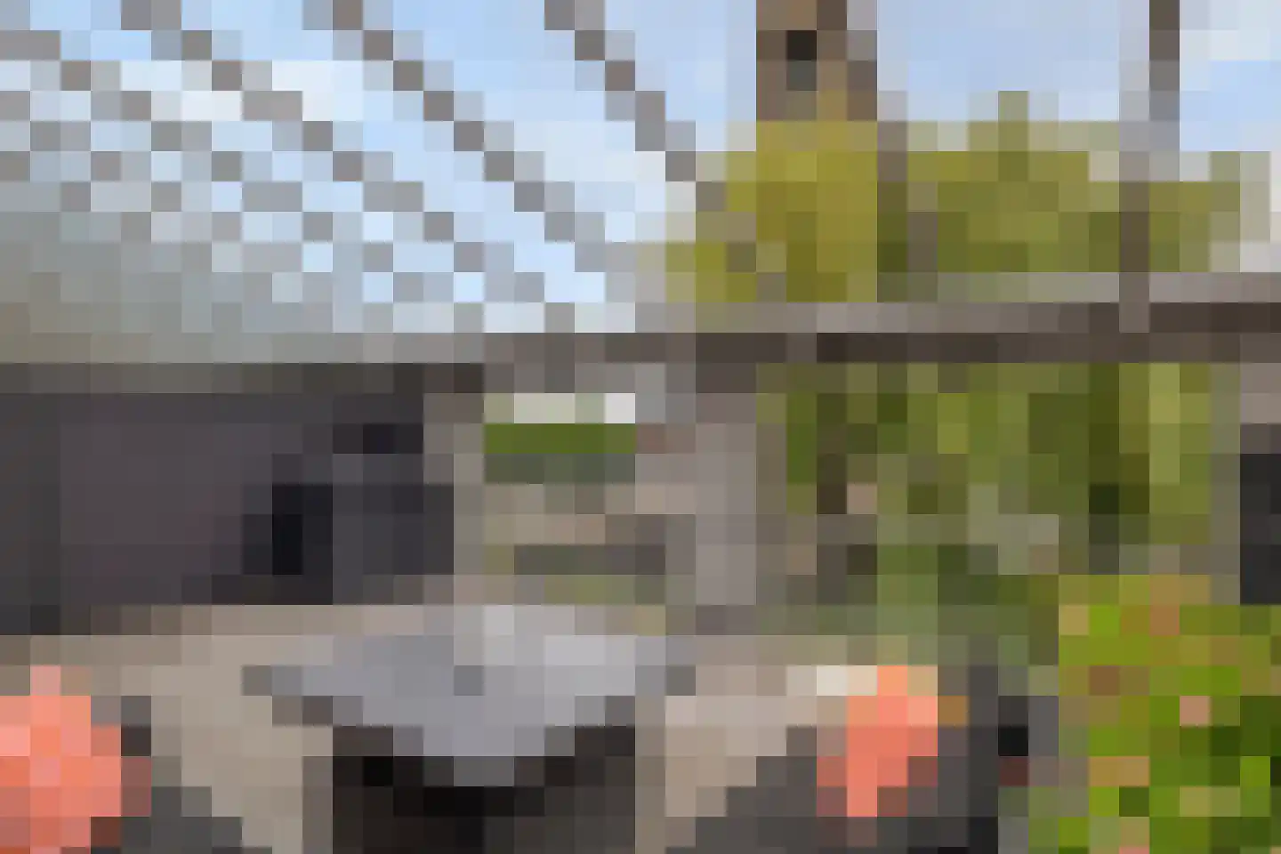 Loopstraat 10 Prinsenbeek thumbnail 26