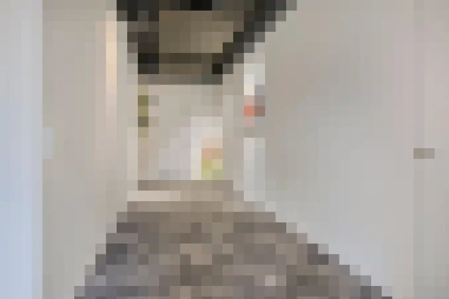 Loopstraat 10 Prinsenbeek thumbnail 7