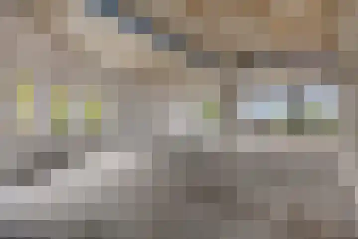Loopstraat 14 Prinsenbeek thumbnail 12