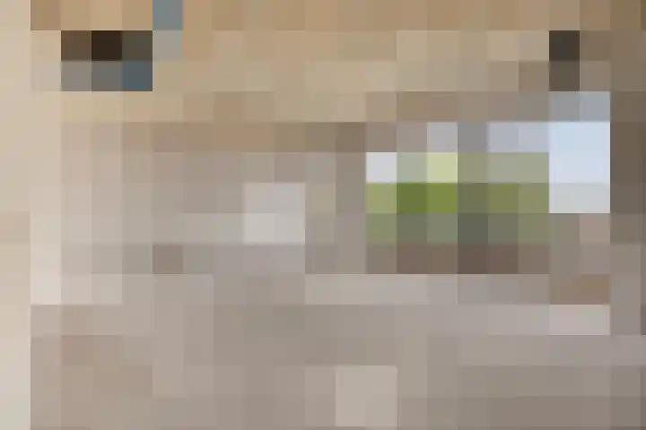 Loopstraat 14 Prinsenbeek thumbnail 15