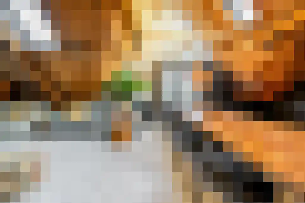 Loopuytpark 18 Julianadorp thumbnail 4