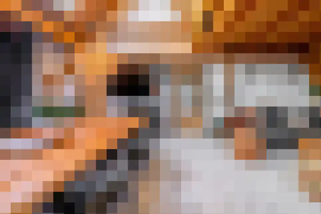 Loopuytpark 18 Julianadorp thumbnail 5