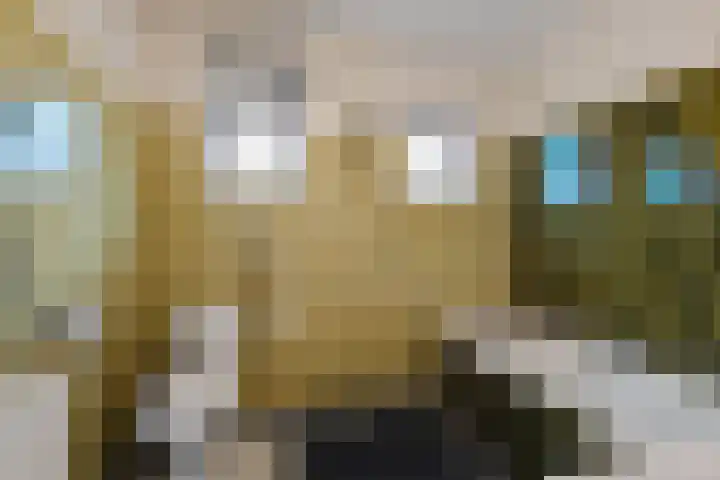 Loopuytpark 7 Julianadorp thumbnail 20