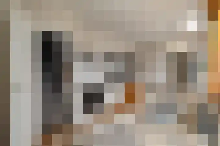 Loopuytpark 7 Julianadorp thumbnail 23