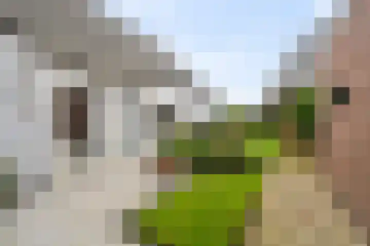 Loopuytpark 7 Julianadorp thumbnail 31