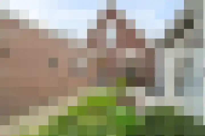Loopuytpark 7 Julianadorp thumbnail 32