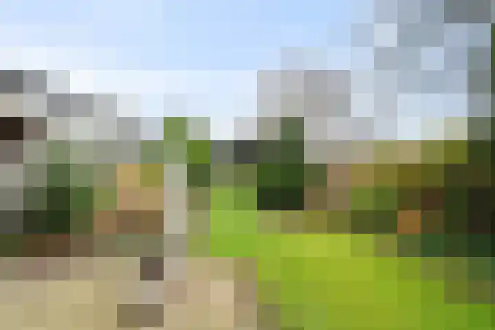 Loopuytpark 7 Julianadorp thumbnail 34