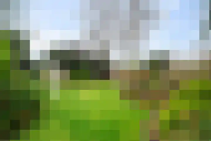 Loopuytpark 7 Julianadorp thumbnail 36