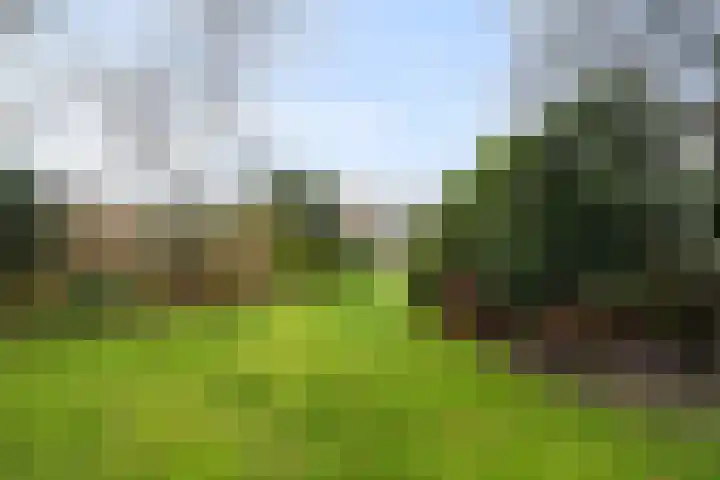 Loopuytpark 7 Julianadorp thumbnail 37