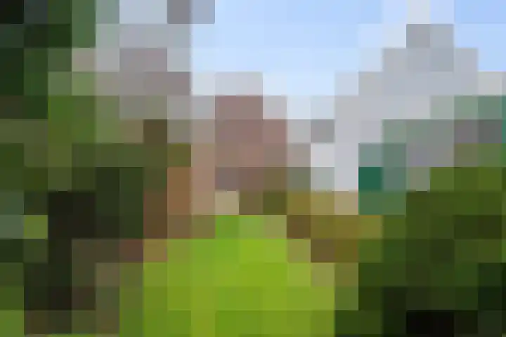 Loopuytpark 7 Julianadorp thumbnail 38