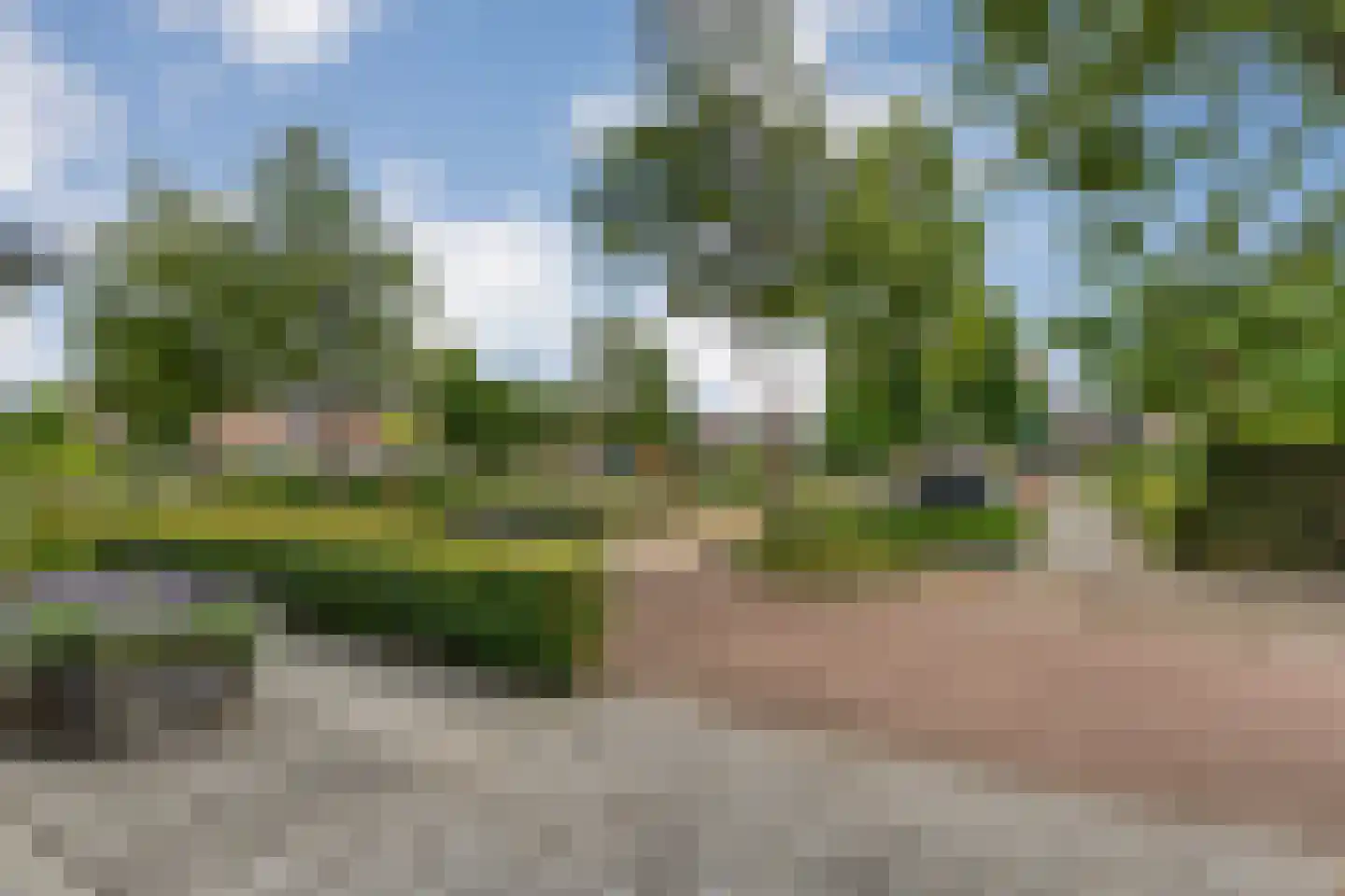 Loorlaan 31 Hardenberg thumbnail 10