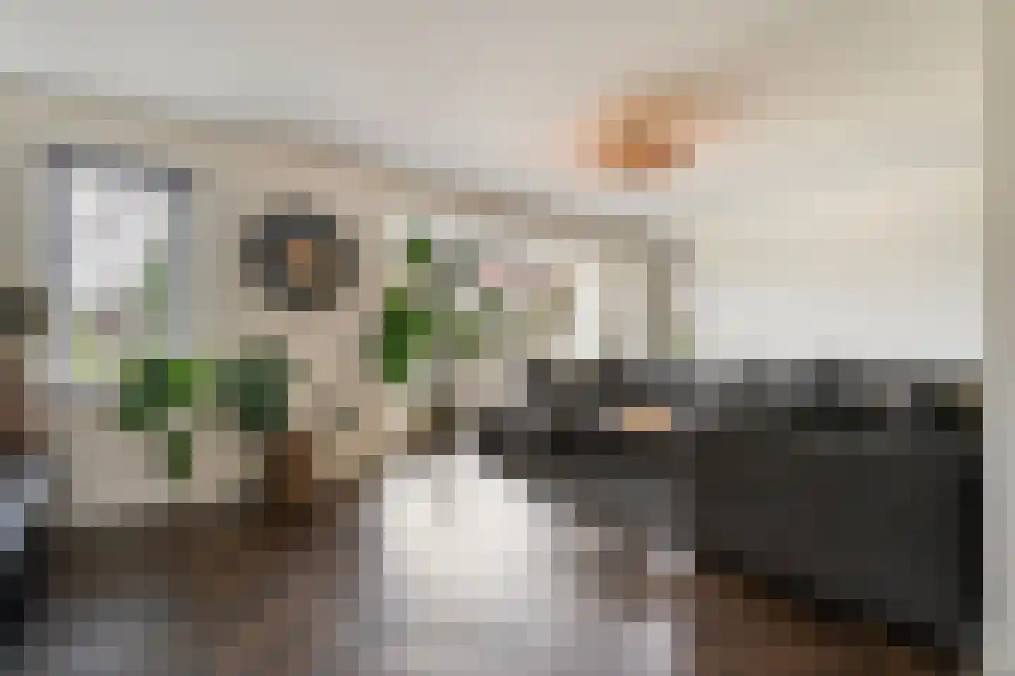 Loorlaan 31 Hardenberg thumbnail 17
