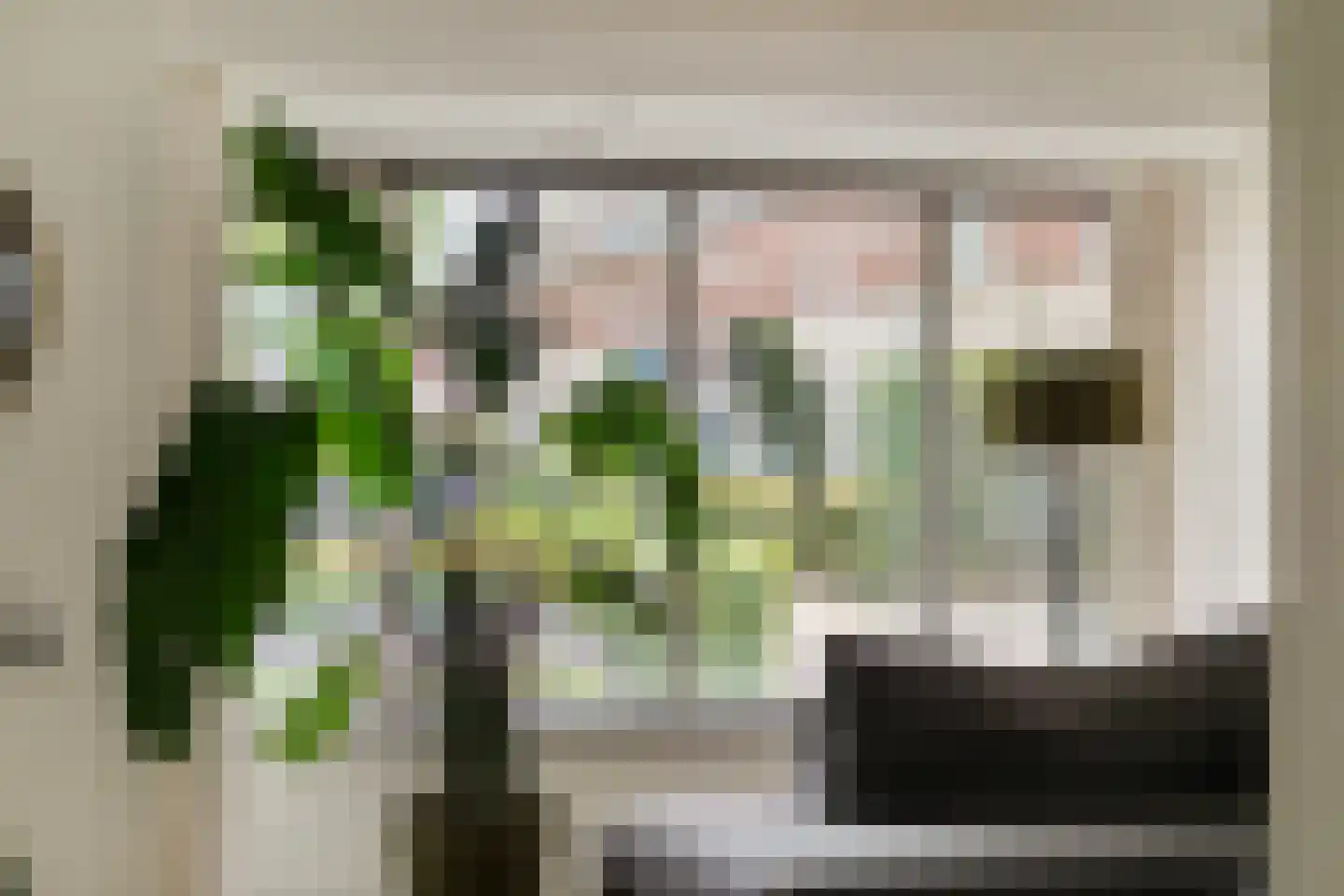 Loorlaan 31 Hardenberg thumbnail 20