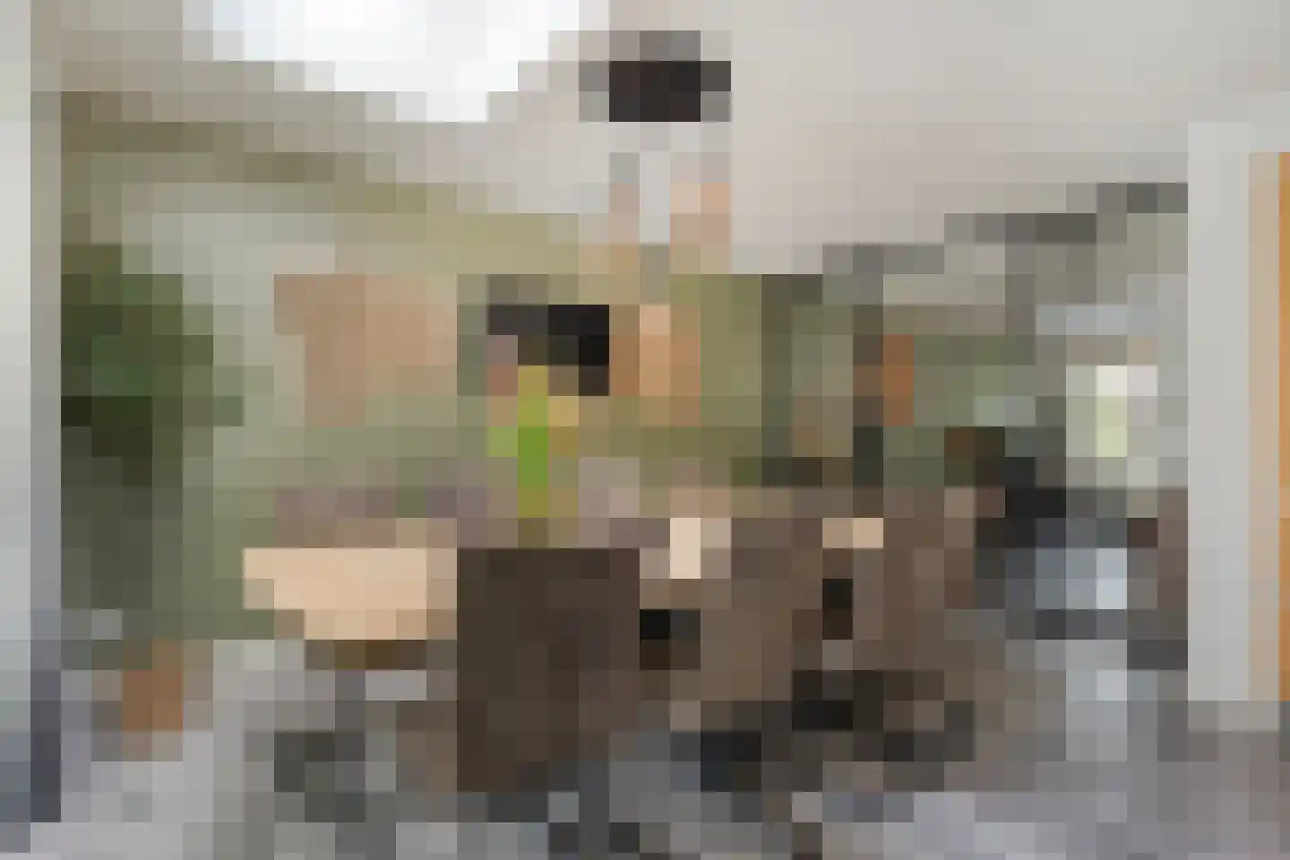 Loorlaan 31 Hardenberg thumbnail 22