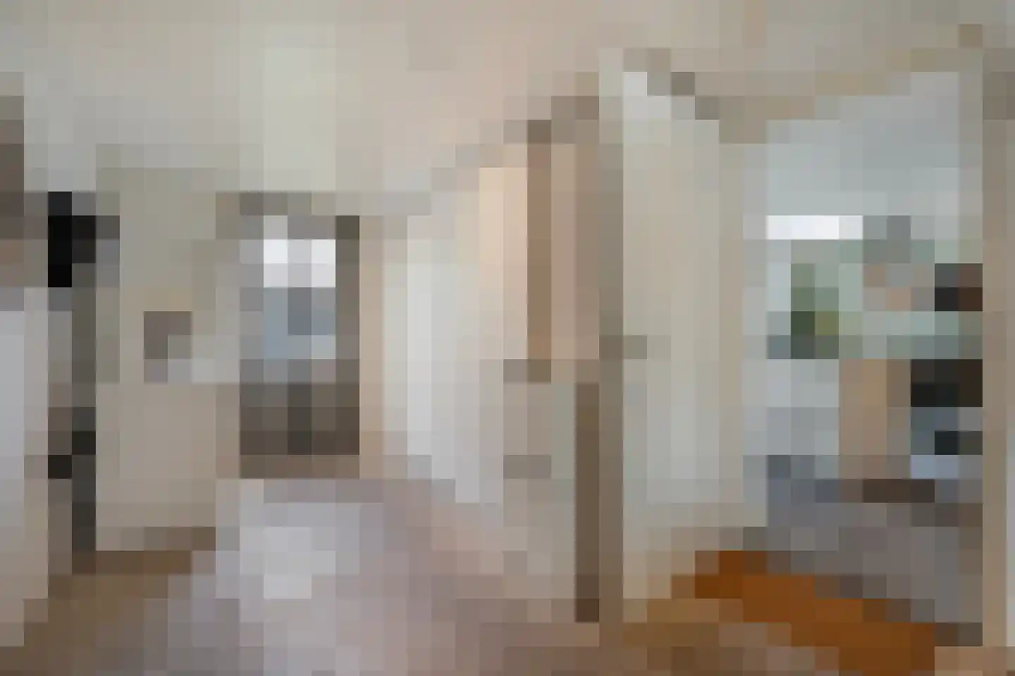 Loorlaan 31 Hardenberg thumbnail 31