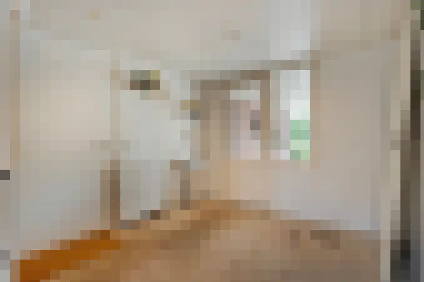 Loorlaan 31 Hardenberg thumbnail 32