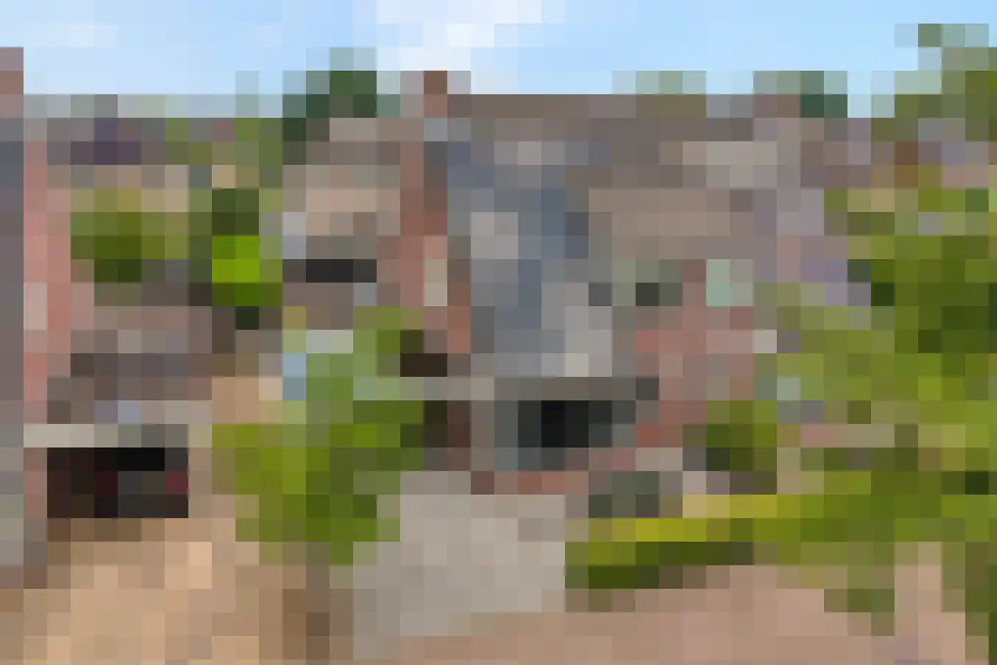 Loorlaan 31 Hardenberg thumbnail 4
