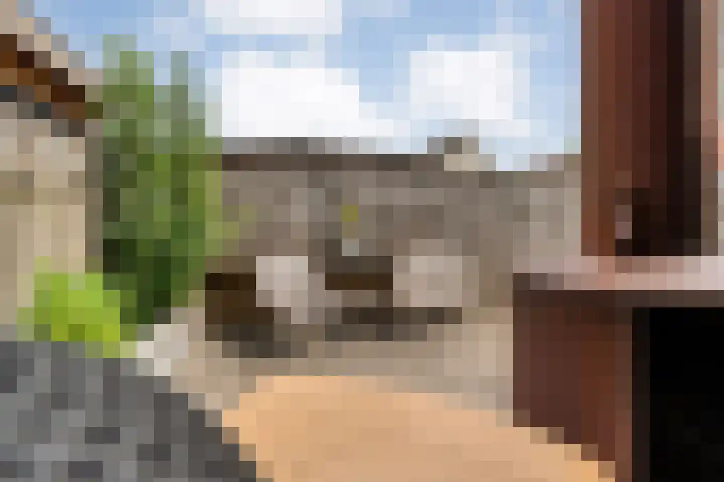 Loorlaan 31 Hardenberg thumbnail 61