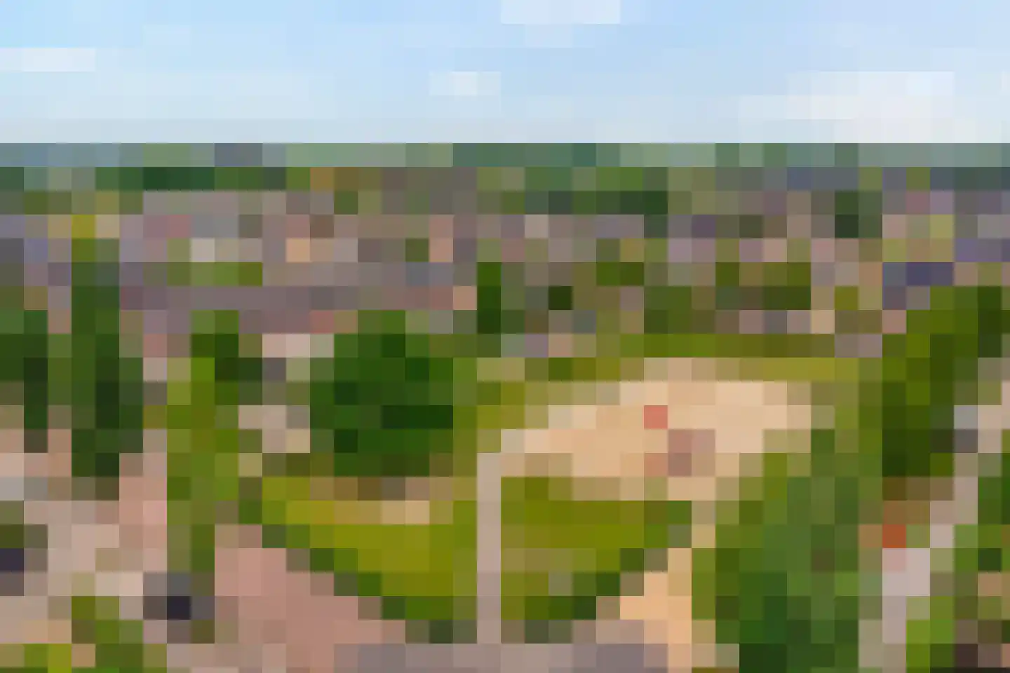 Loorlaan 31 Hardenberg thumbnail 7
