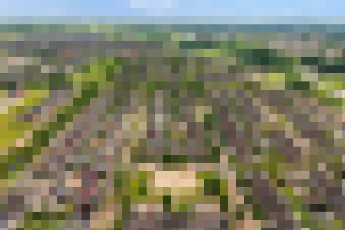 Loorlaan 31 Hardenberg thumbnail 8