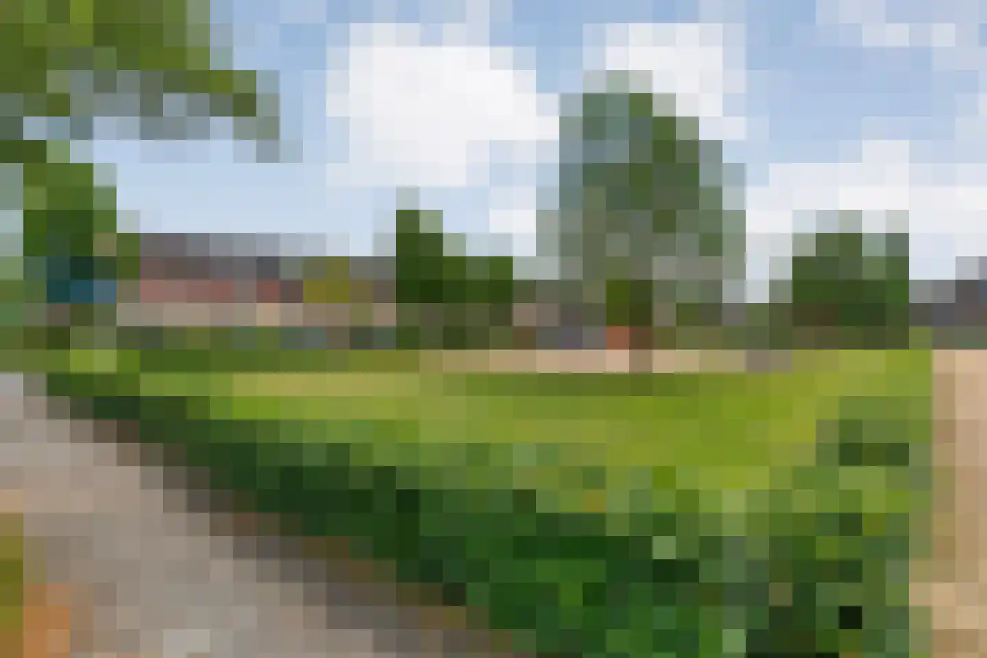 Loorlaan 31 Hardenberg thumbnail 9
