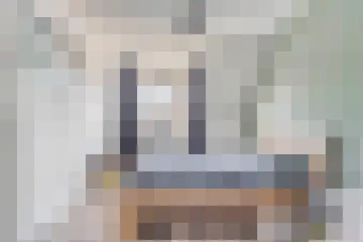 Loorlaan 9 Hardenberg thumbnail 17