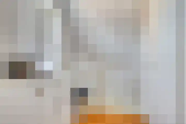 Loorlaan 9 Hardenberg thumbnail 26