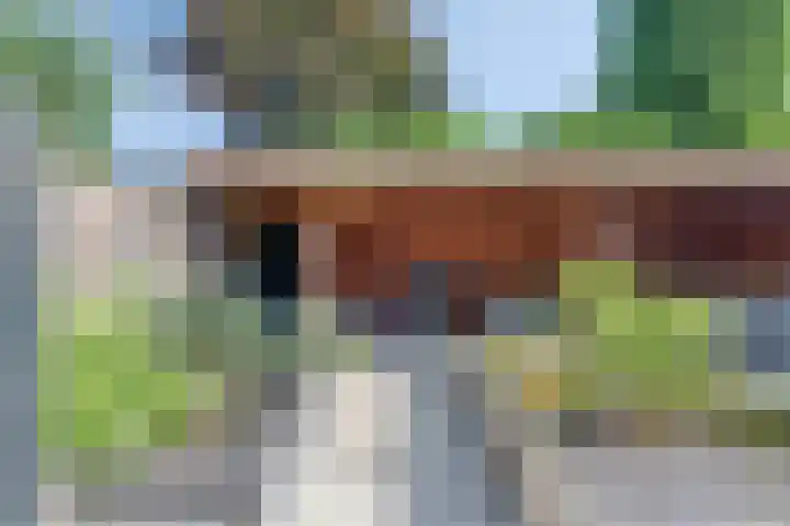 Loorlaan 9 Hardenberg thumbnail 30