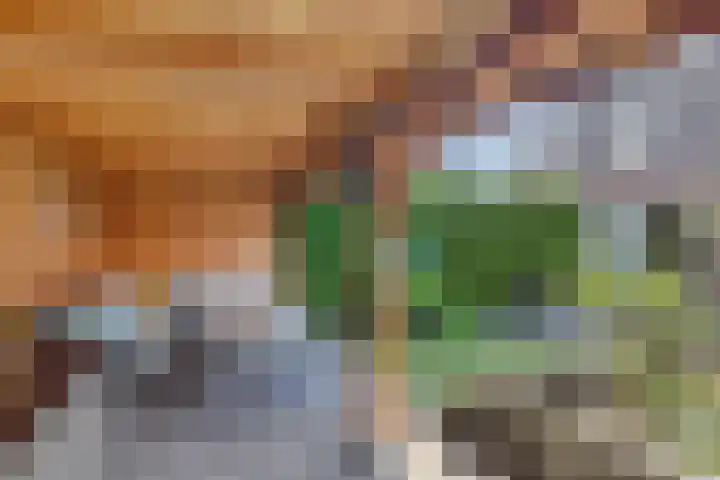 Loorlaan 9 Hardenberg thumbnail 32