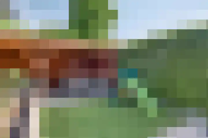 Loorlaan 9 Hardenberg thumbnail 33