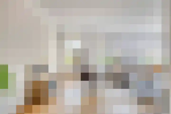 Loorlaan 9 Hardenberg thumbnail 6