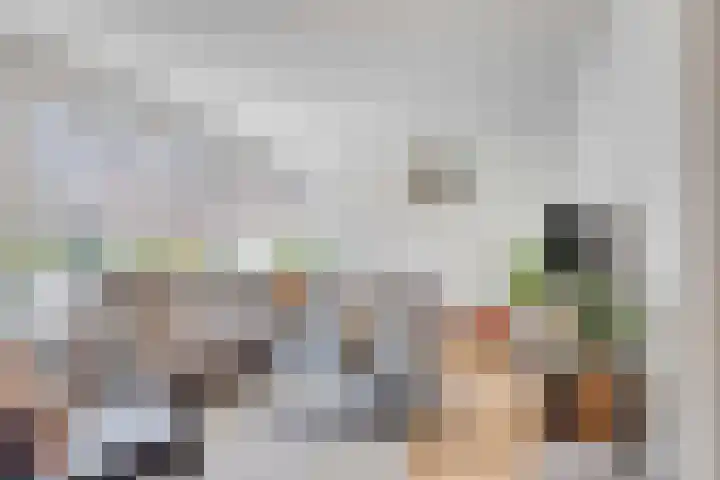 Loorlaan 9 Hardenberg thumbnail 7