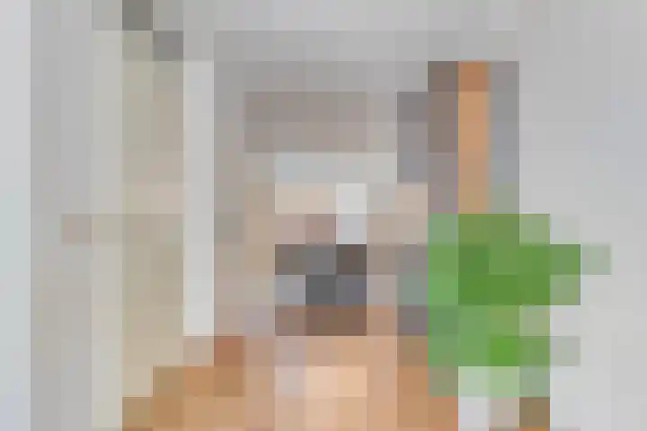 Loorlaan 9 Hardenberg thumbnail 8