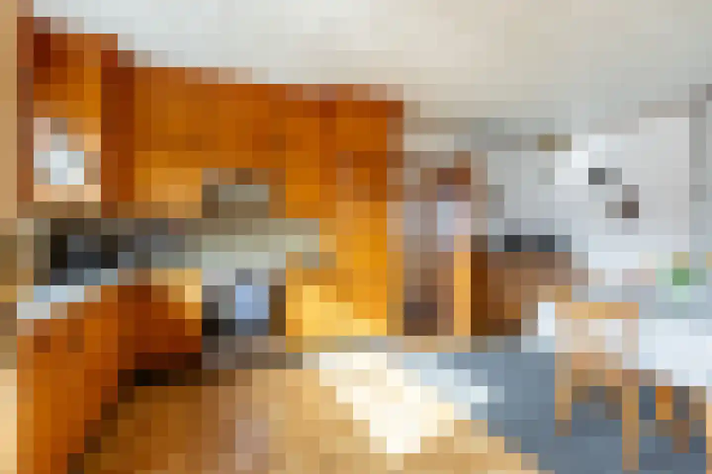 Loosbergstraat 13 Wernhout thumbnail 19