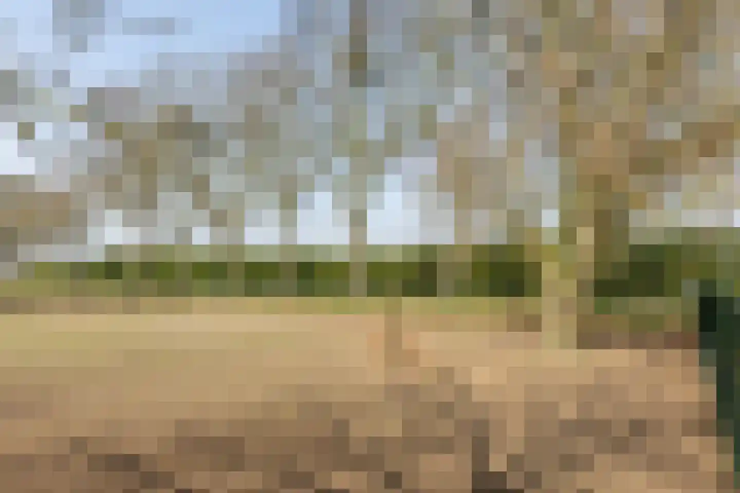 Loosbergstraat 13 Wernhout thumbnail 42