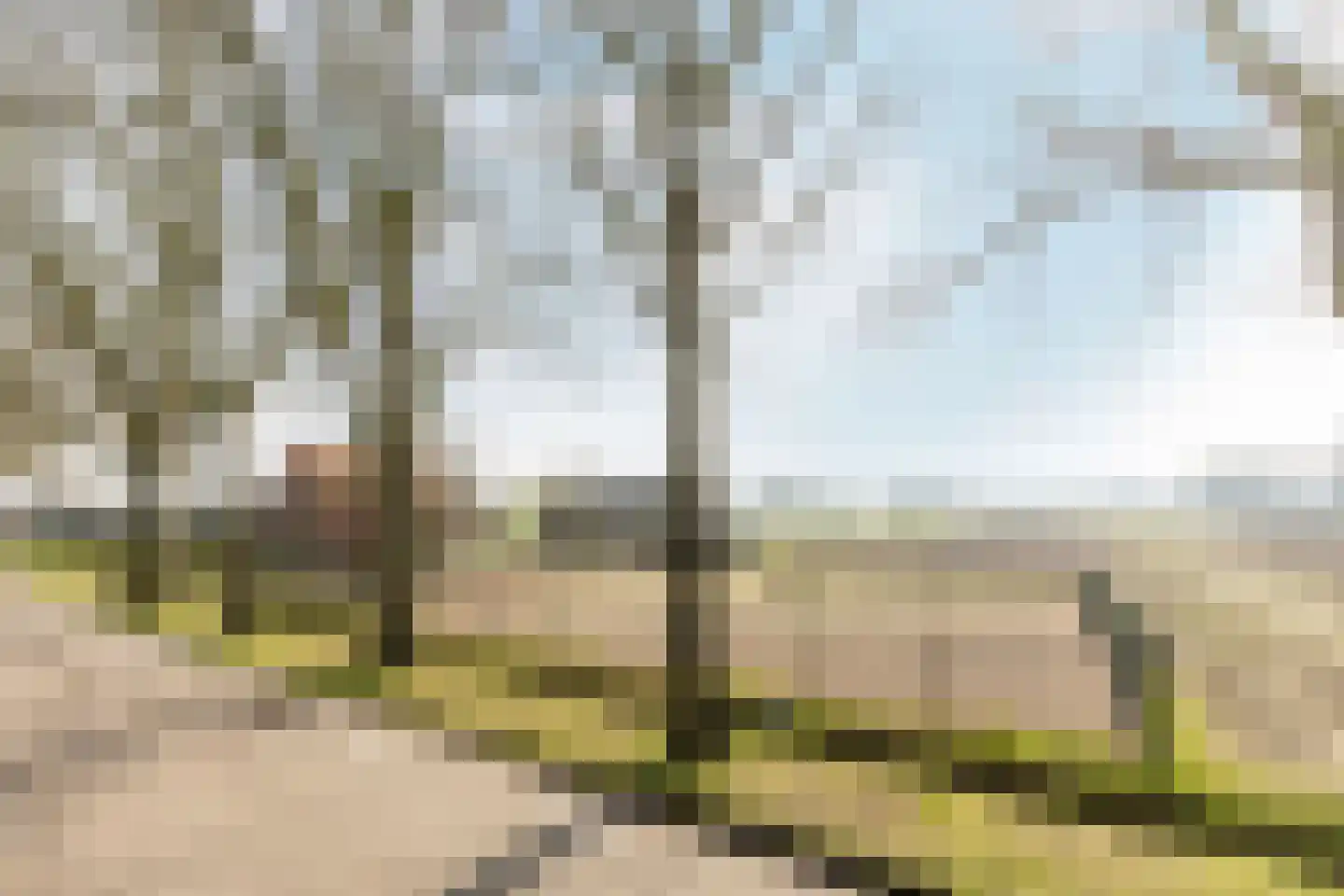 Loosbergstraat 13 Wernhout thumbnail 47