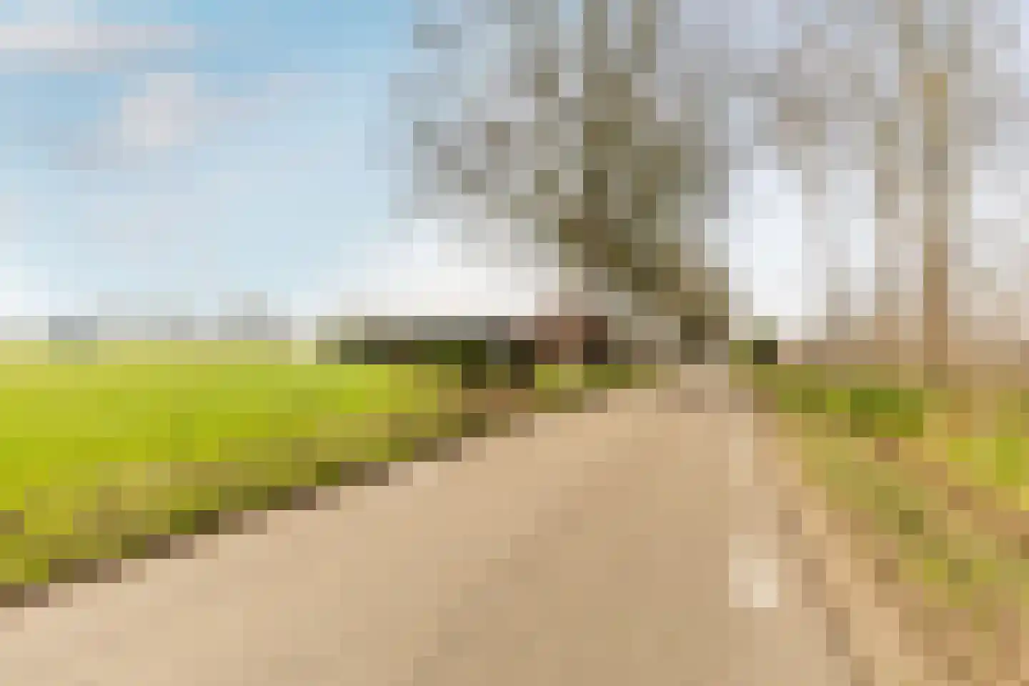 Loosbergstraat 13 Wernhout thumbnail 7
