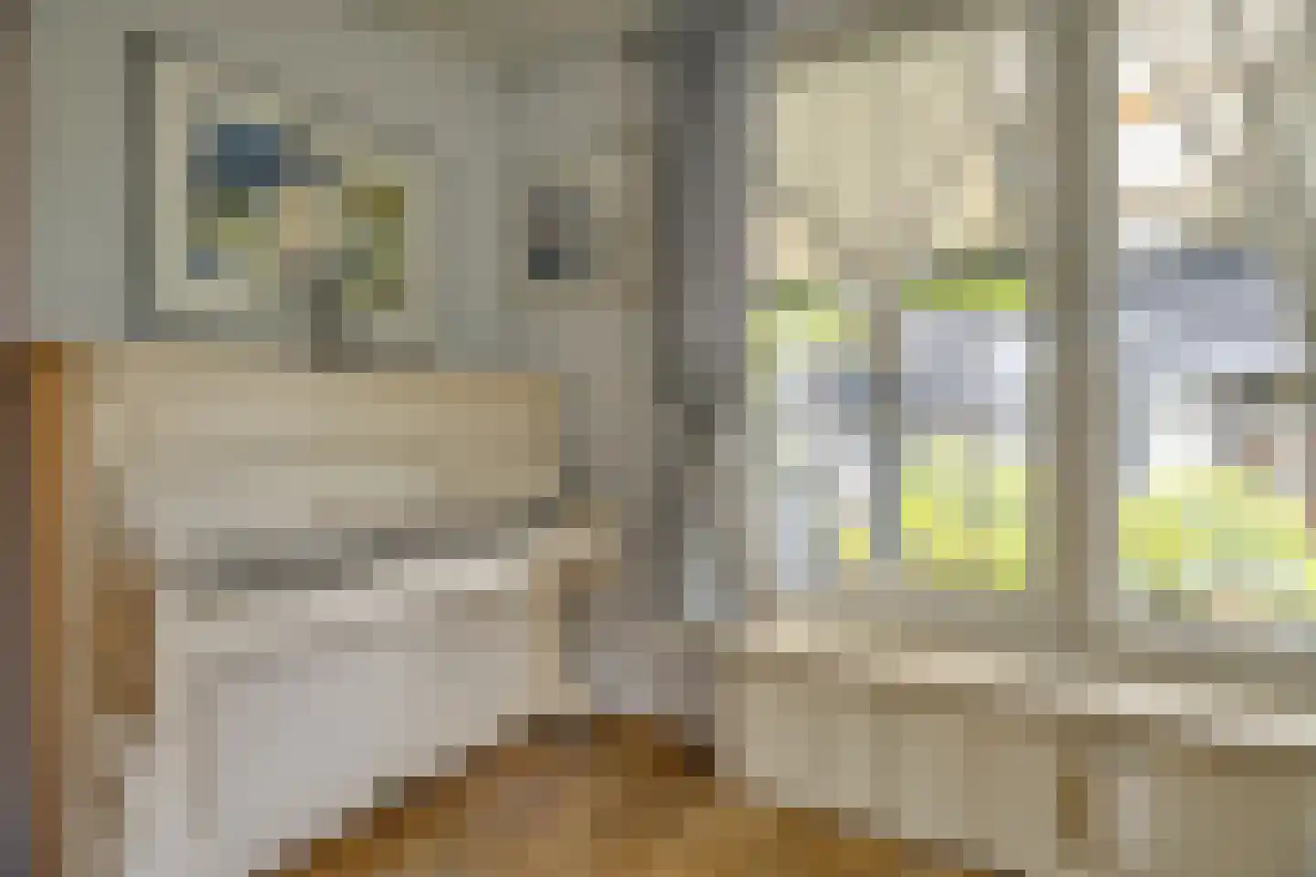 Loosbergstraat 7 Wernhout thumbnail 13