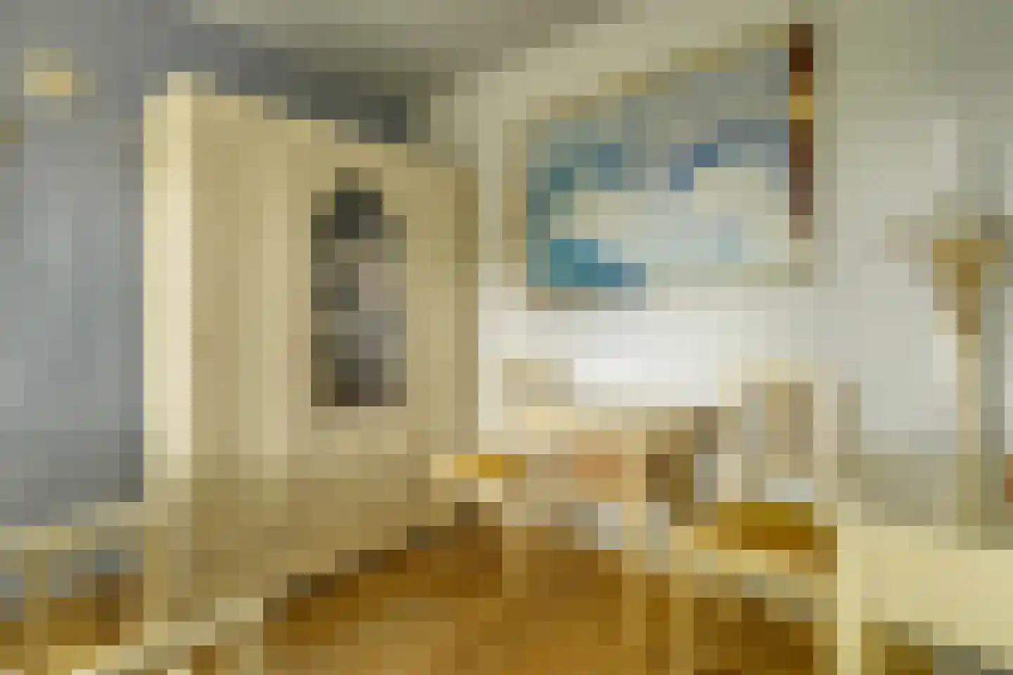 Loosbergstraat 7 Wernhout thumbnail 24