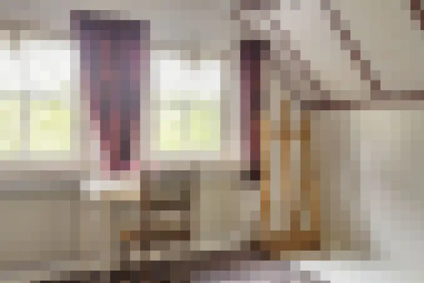 Loosbergstraat 7 Wernhout thumbnail 32