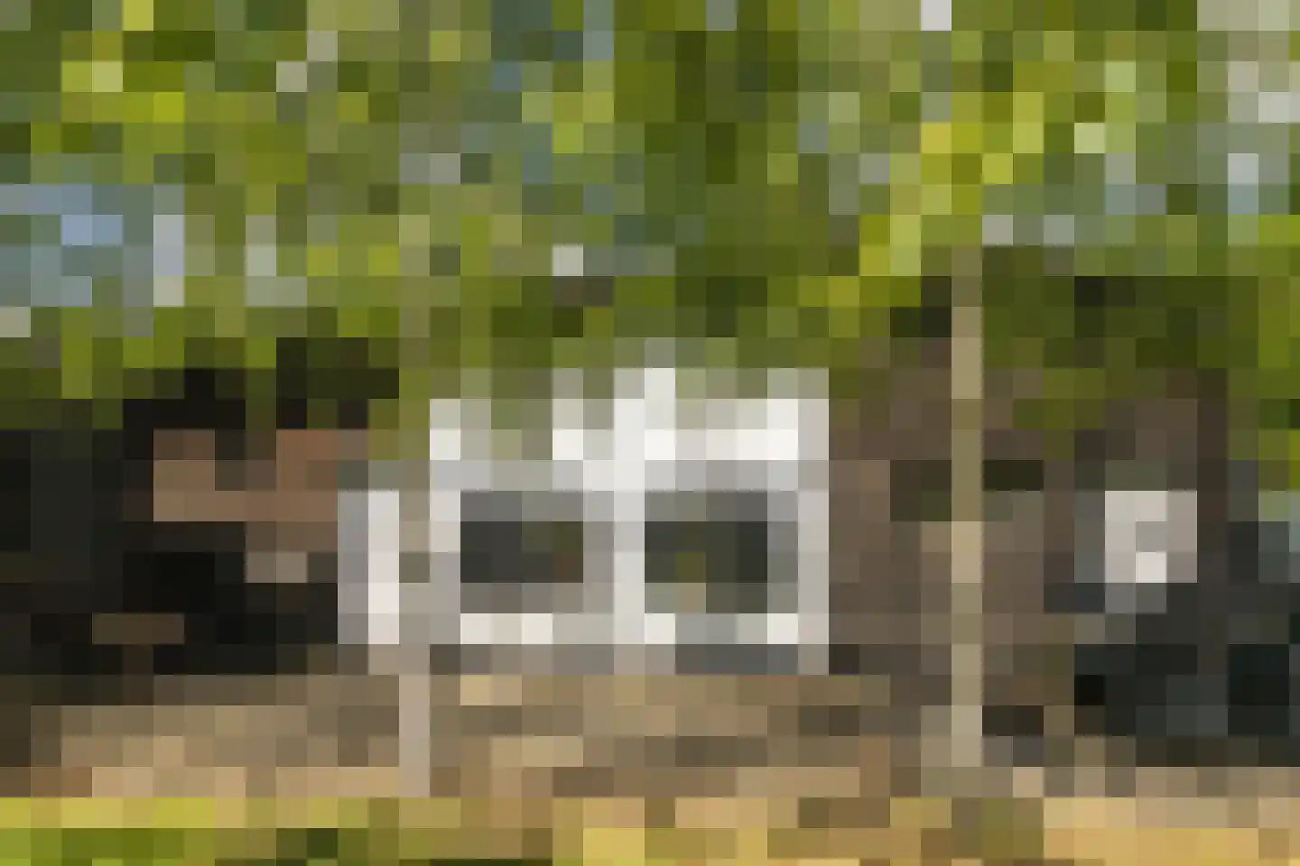 Loosbergstraat 7 Wernhout thumbnail 37