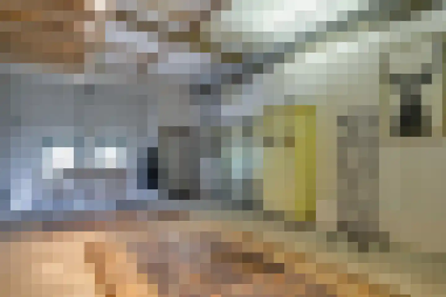 Loosbergstraat 7 Wernhout thumbnail 43