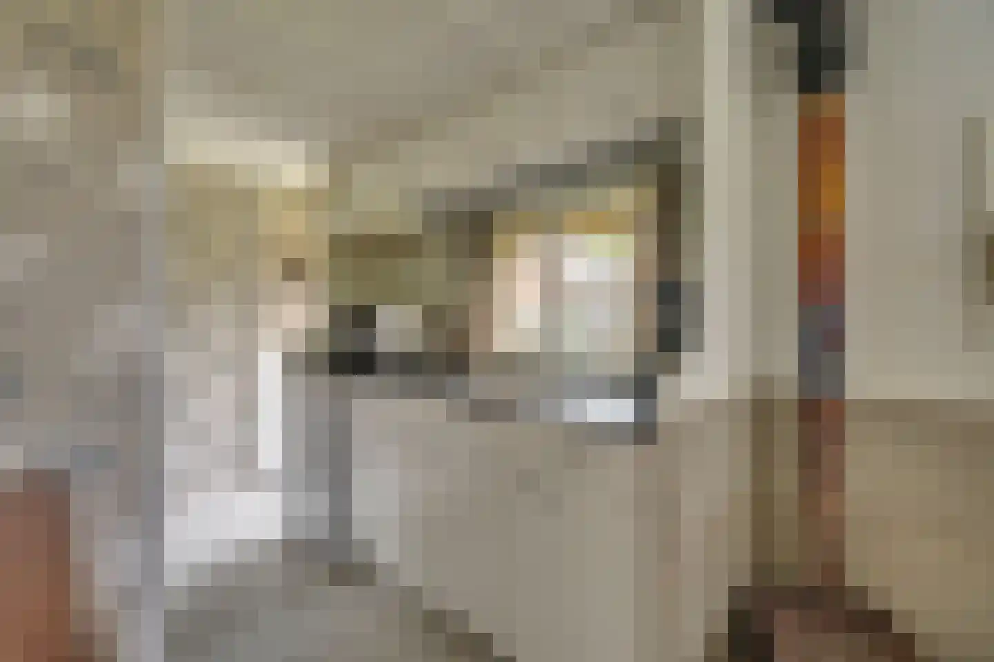 Loosbergstraat 7 Wernhout thumbnail 60