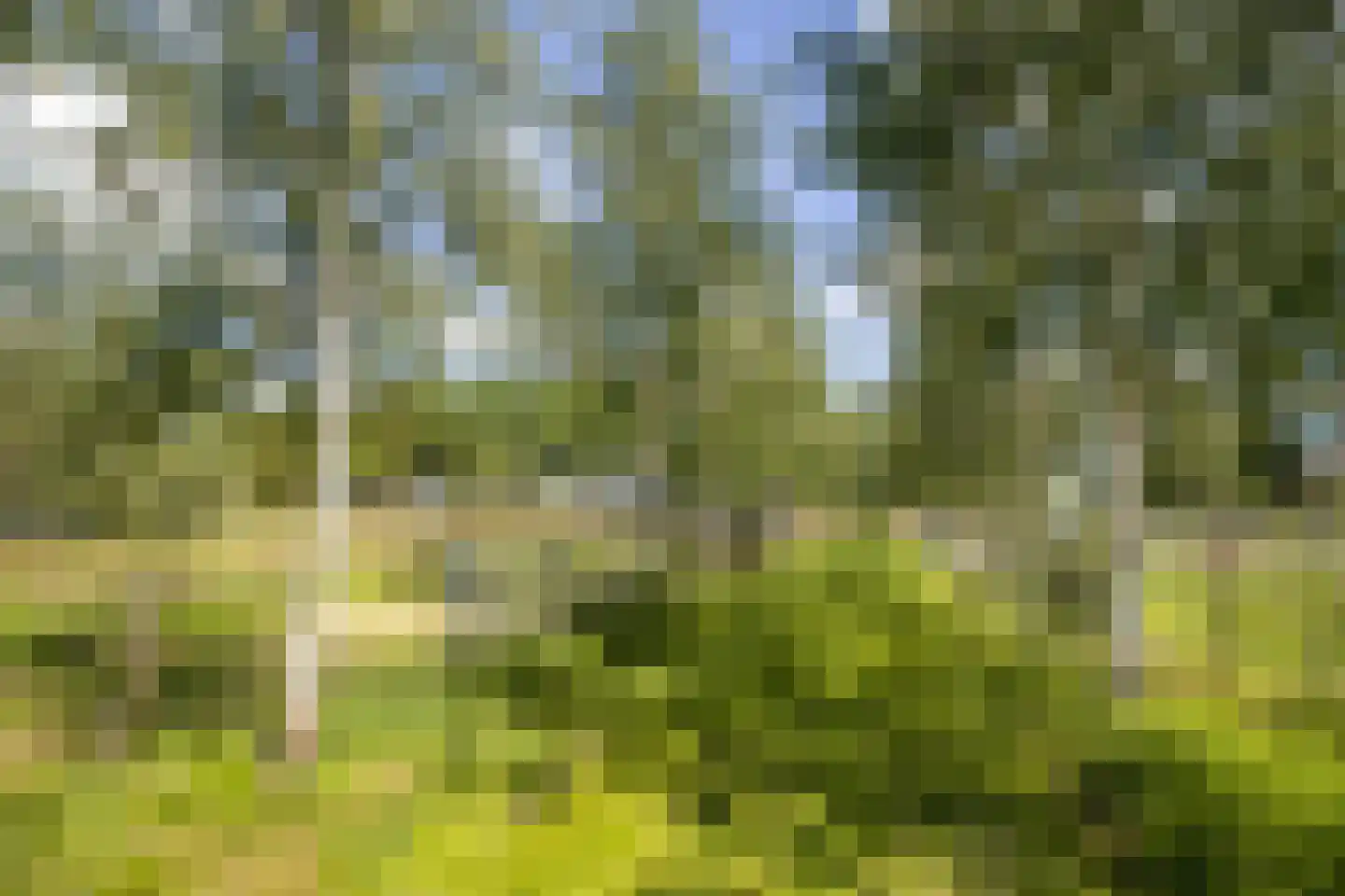 Loosbergstraat 7 Wernhout thumbnail 63