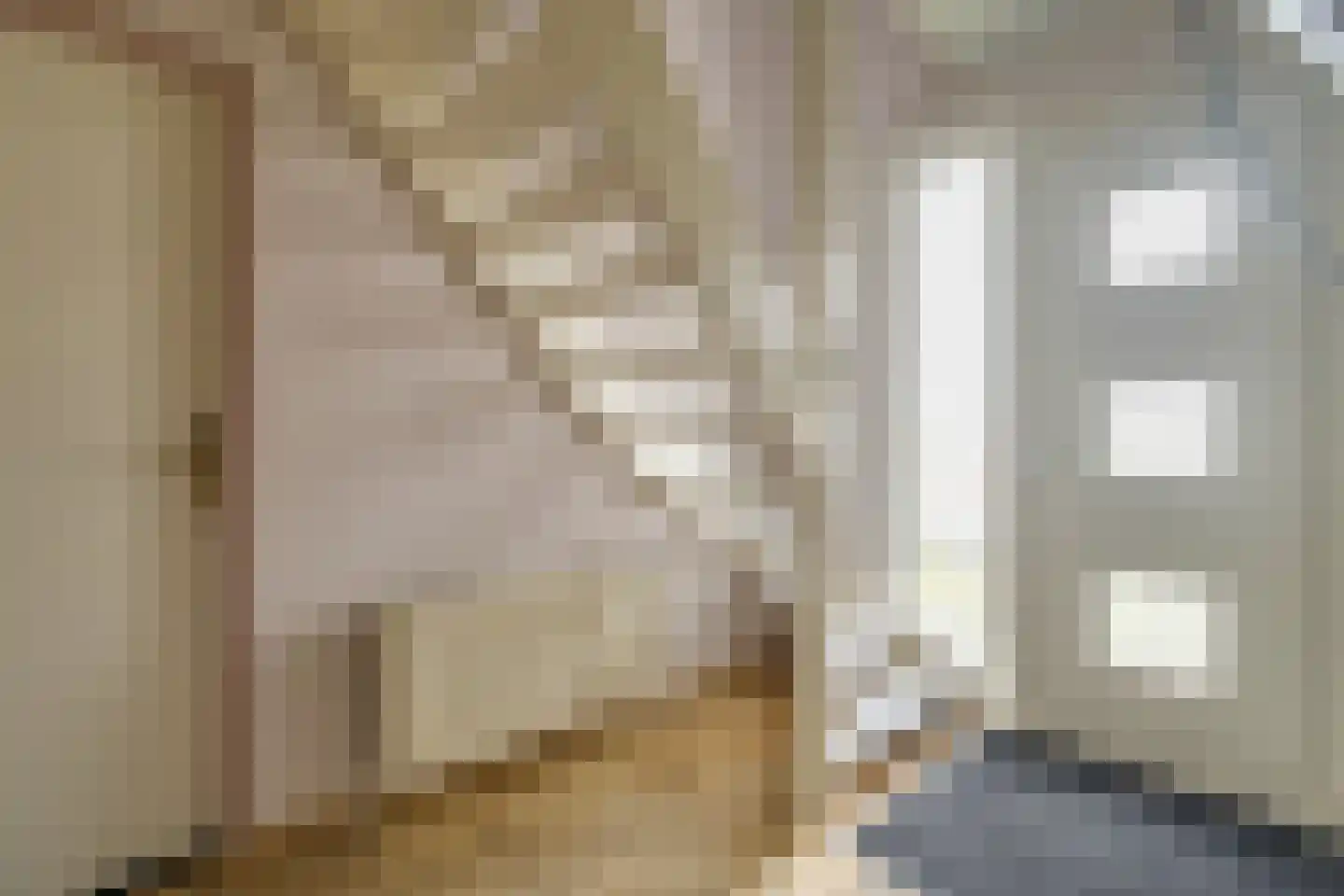 Loosbergstraat 7 Wernhout thumbnail 8