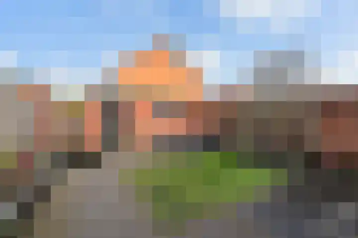 Loosboersstraat 29 Markelo thumbnail 4