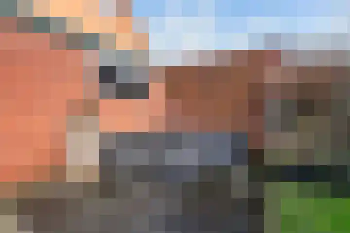 Loosboersstraat 29 Markelo thumbnail 5