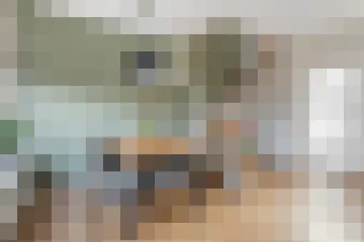 Loosboersstraat 29 Markelo thumbnail 8